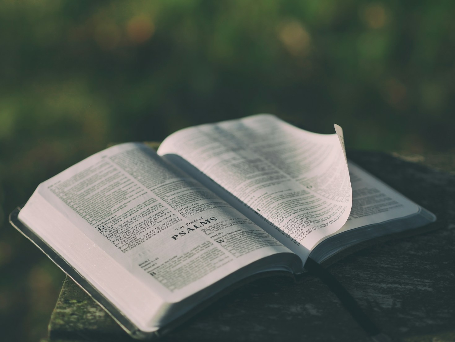 Awakening Your Spirit Through Shalom Principles